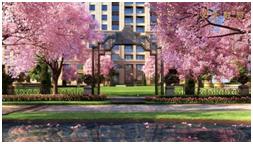 面对新冠疫情我们的认识和启示,谈谈新冠疫情给你带来的思考