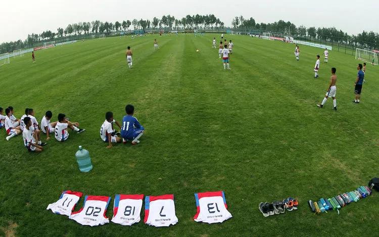 喜报渭南大荔县上榜国家级榜单,渭南多个集体获表彰