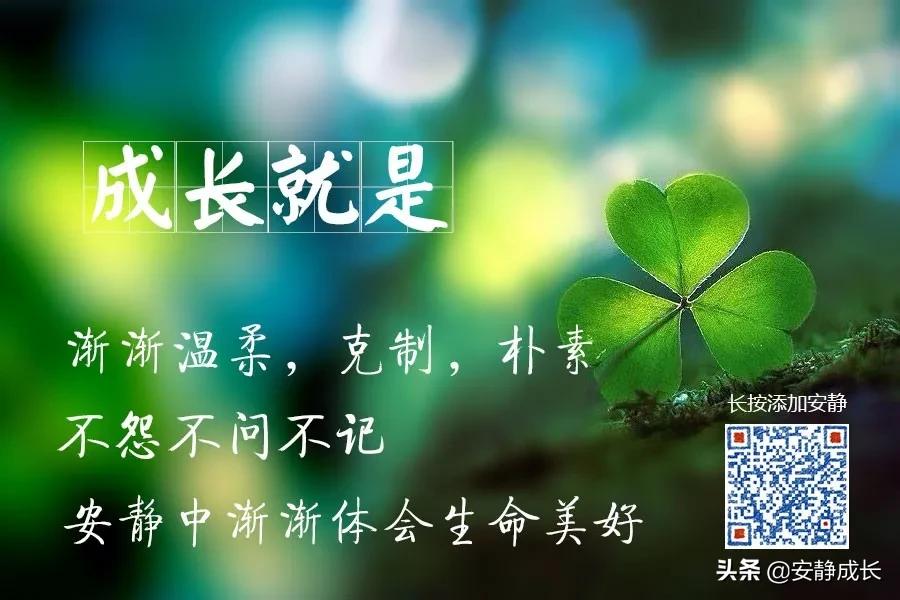 如何选择一个正确的自由职业方向,适合自由选择的职业