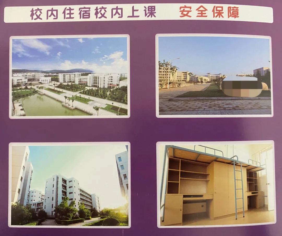 迈成专属表情包，“迈萌”喵来啦