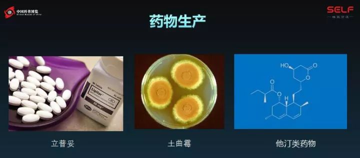 微生物降解塑料,生物塑料可以被微生物降解吗