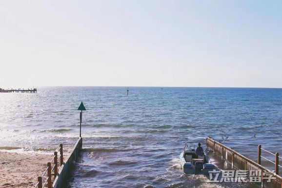 澳洲tafa留学签证流程,澳洲留学签证不下来怎么办