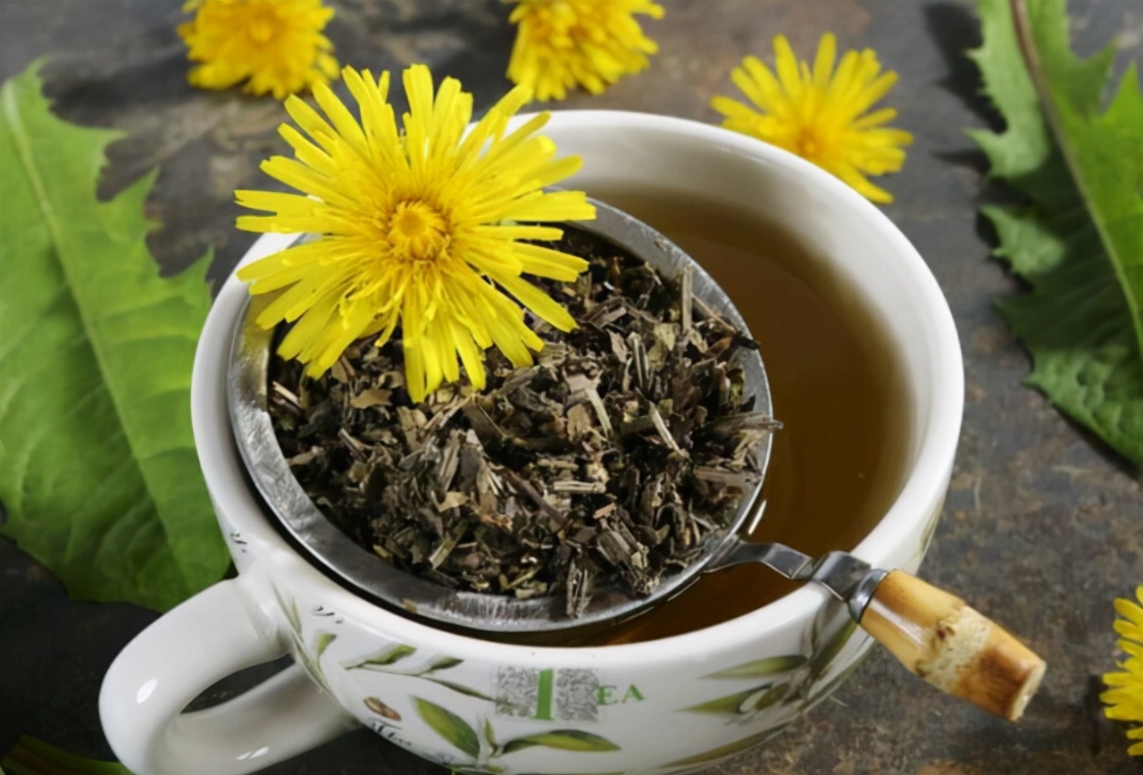 喝蒲公英消除结节是真还是假,五十岁大姐喝蒲公英消结节