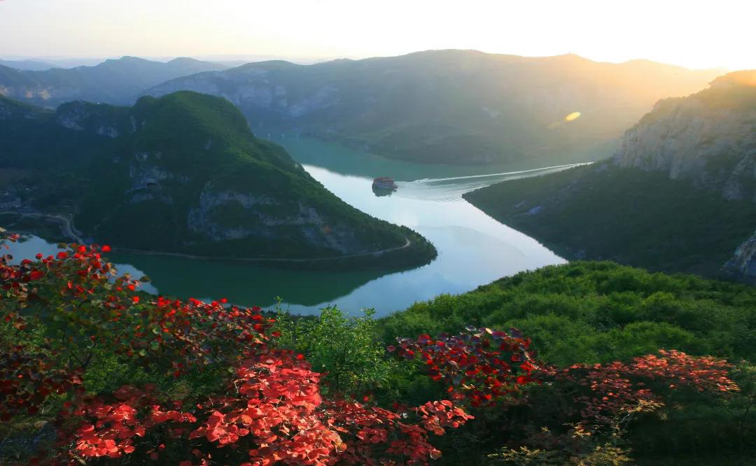 周一至周五免票,半价活动都有哪些