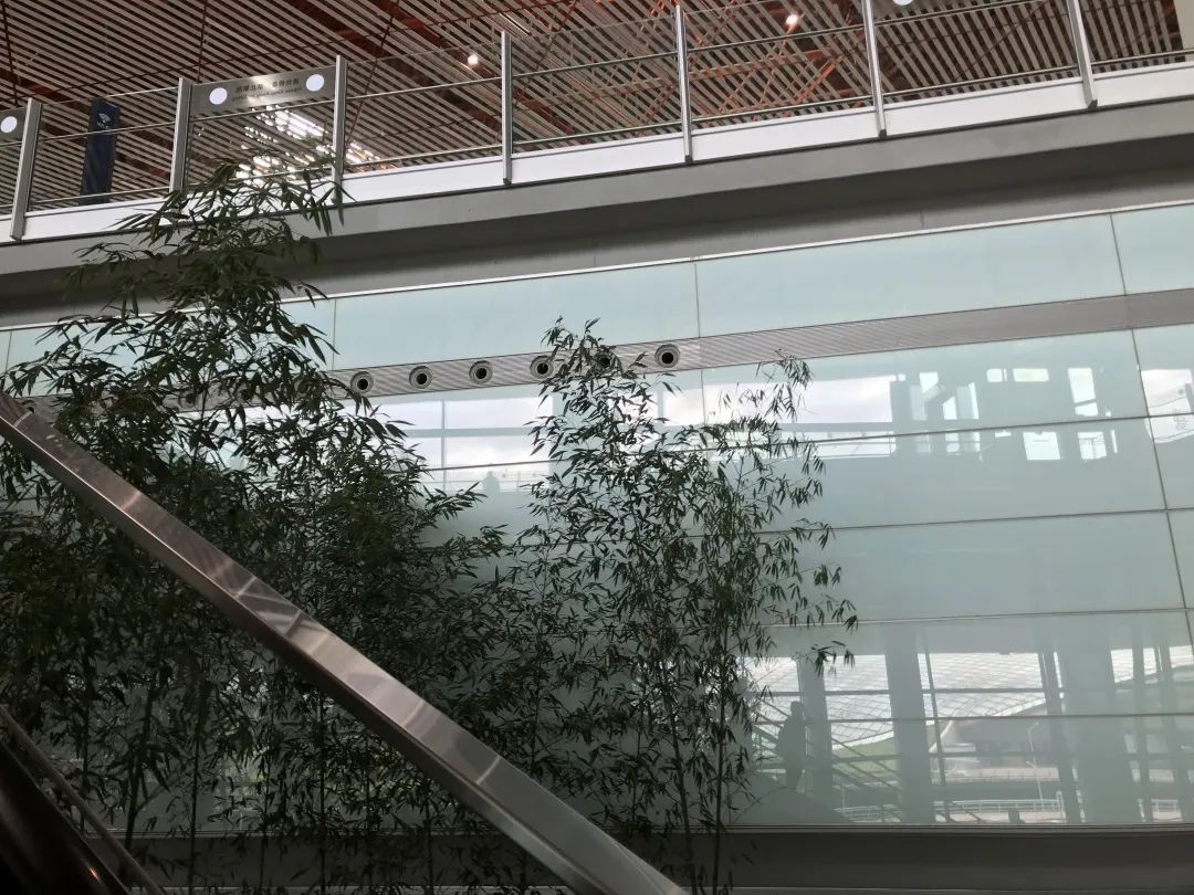 首都机场问询员,首都机场航站楼问询员