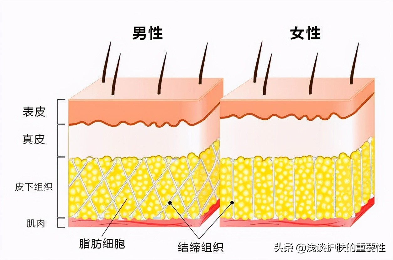 皮肤出油多用什么中药,皮肤出油湿热
