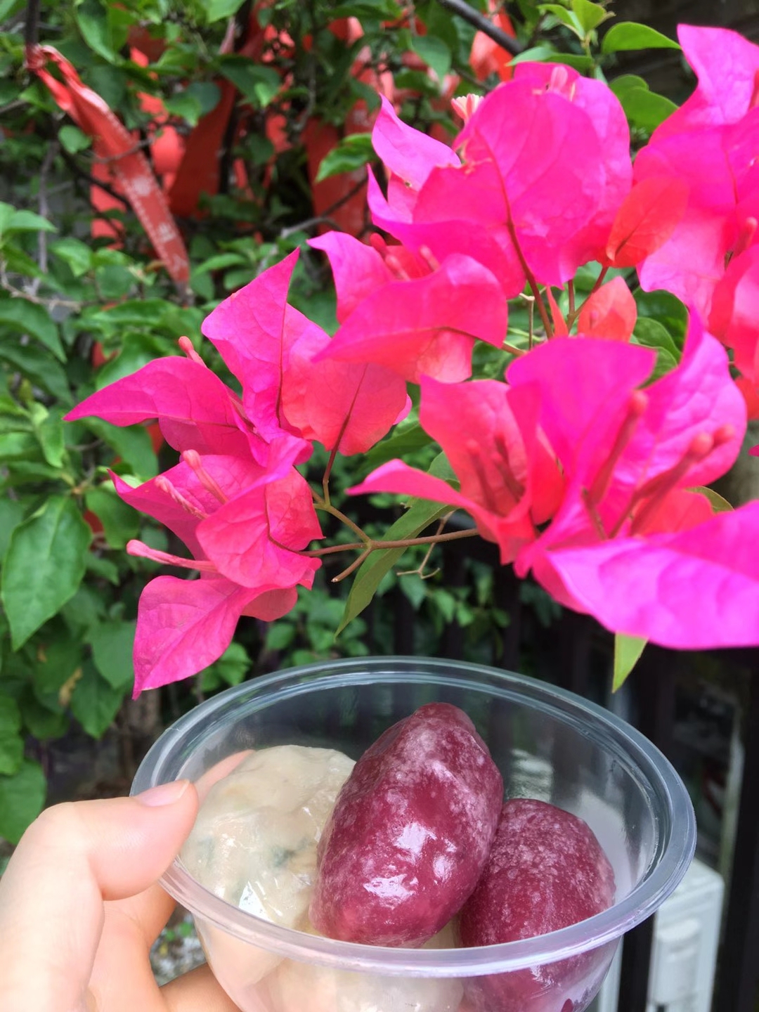 深圳甘坑客家小镇开到几点啊,深圳甘坑客家小镇是属于哪个区