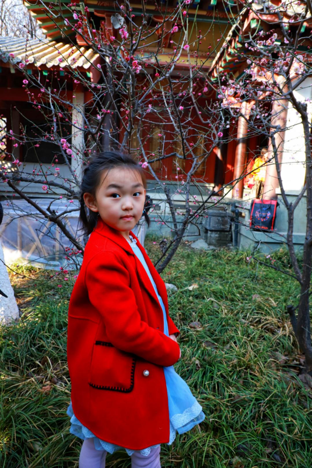 春天里最美的花儿，语文课本上的天下第一……一定要带孩子来