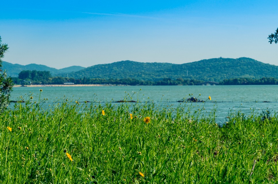 新手摄影入门必备攻略,新手摄影必背口诀