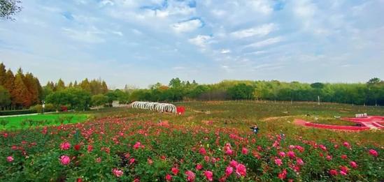 520去哪比较浪漫,520去哪里比较浪漫银川