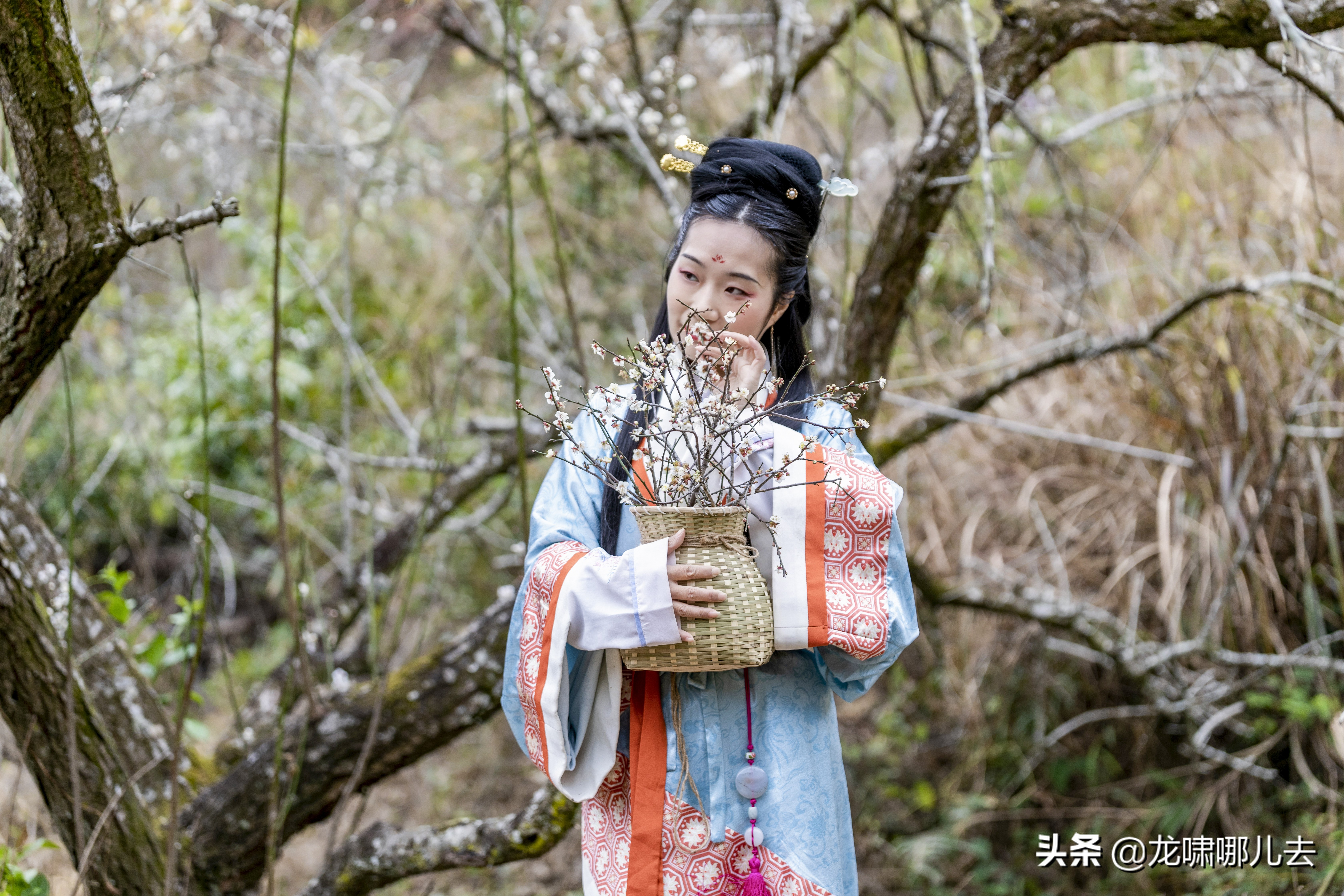 梁化梅园梅花观赏最佳时间,惠州梁化梅园看梅花时间