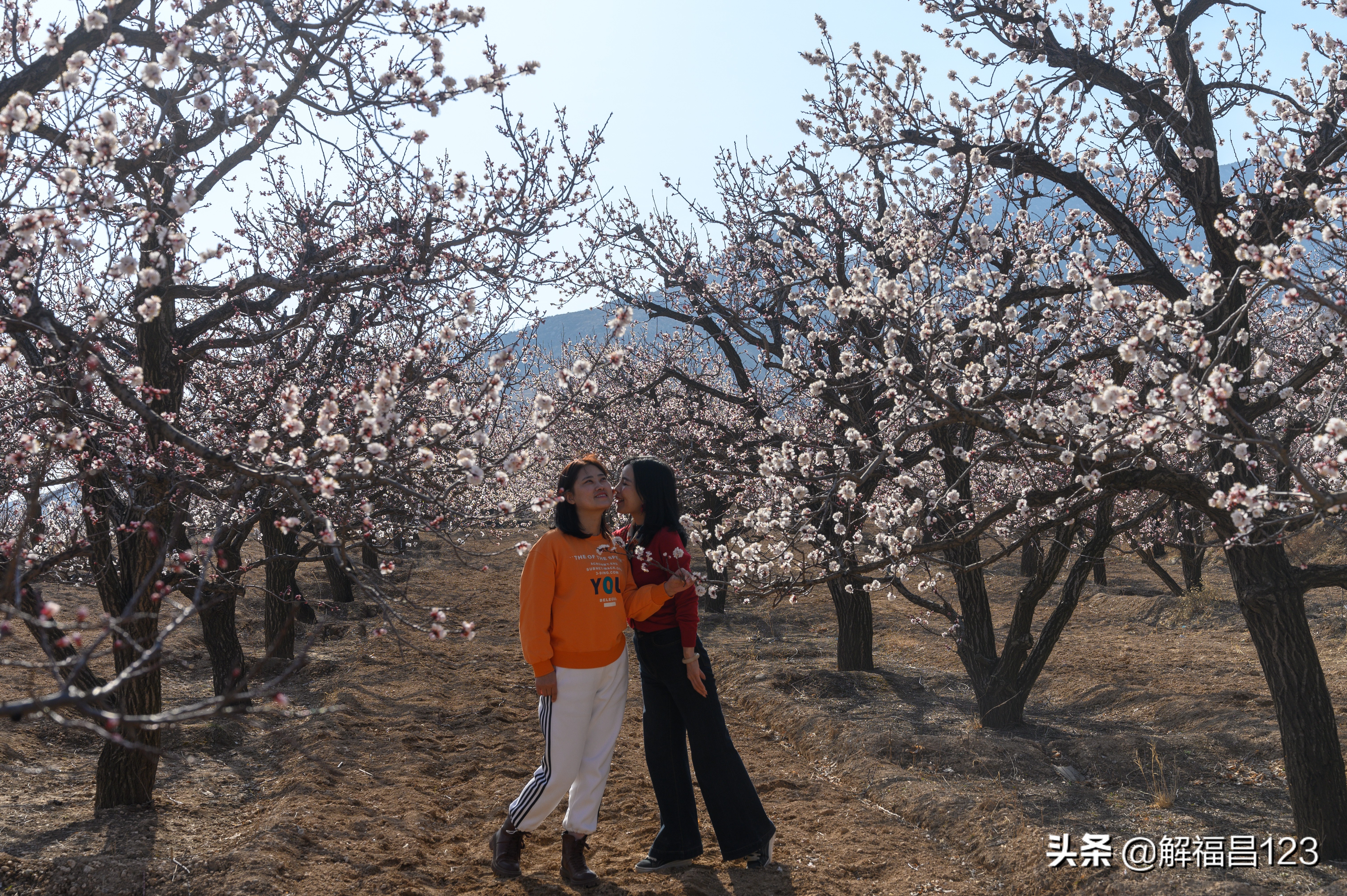 一天卖100个馅饼可以挣多少钱,卖馅饼一个月45万利润