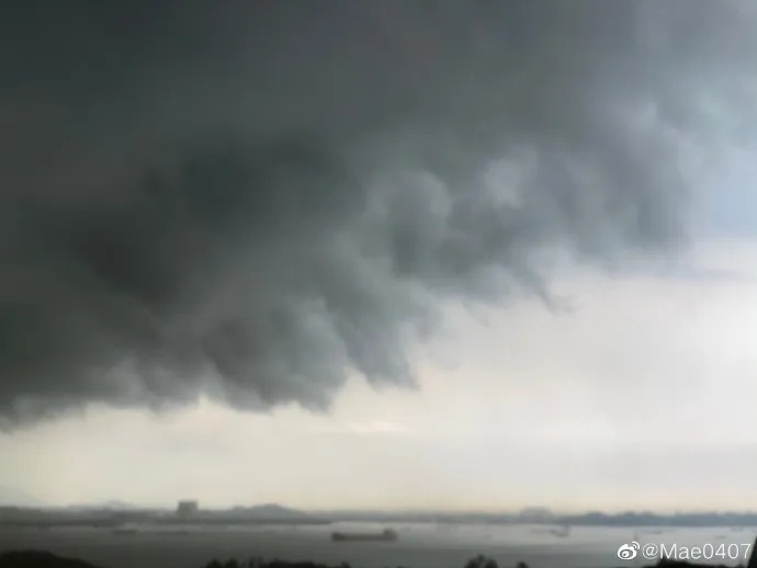 【吓人】太多多多……了！最近很多人被吓得不敢开灯，只因它又来袭