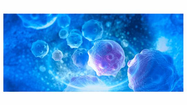 ppt中许多照片怎样处理好看,ppt中的图片式表格怎么处理