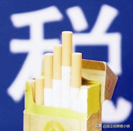 钱多事少离家近蛮荒记,钱多事少离家近一样都不沾边