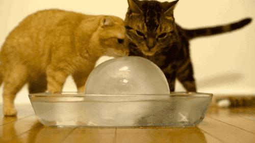 做好这几点远离呼吸道疾病,做好这八点让你轻松管理