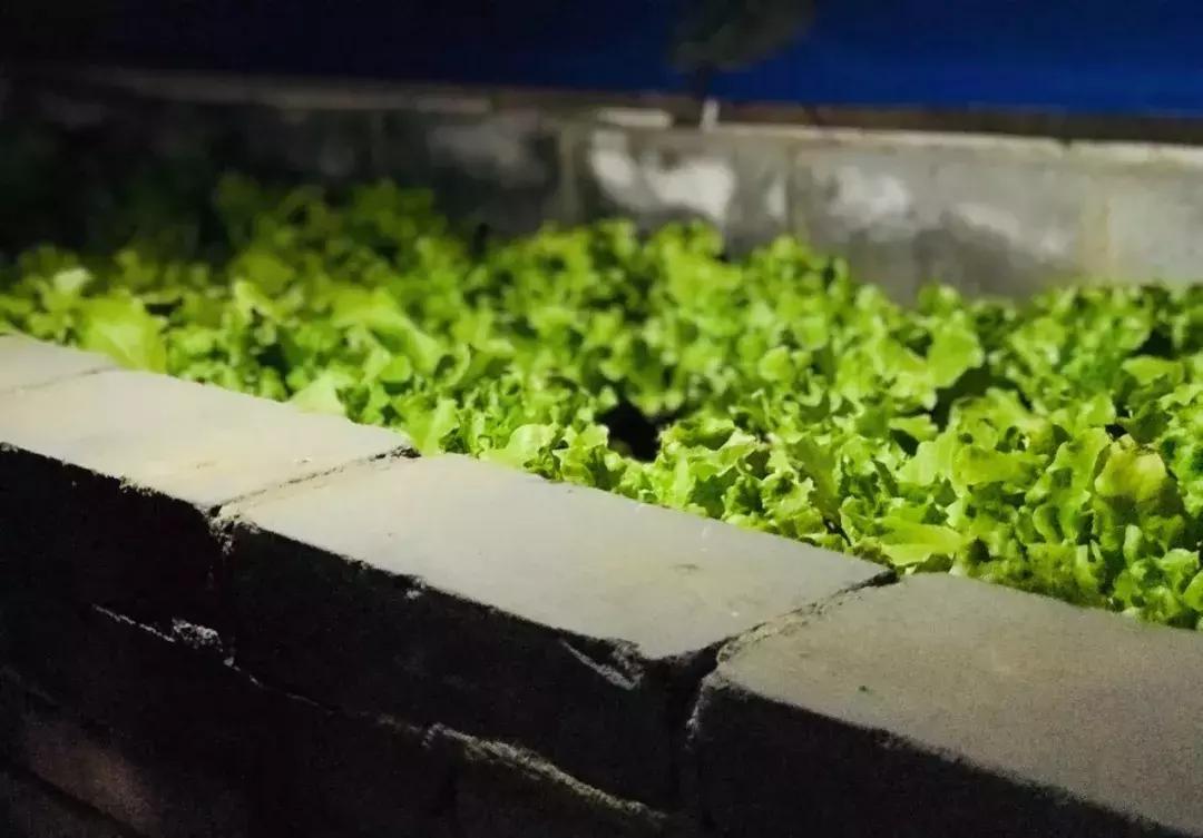 在西安吃火锅这8家店吃到过瘾,西安最好吃的十大火锅