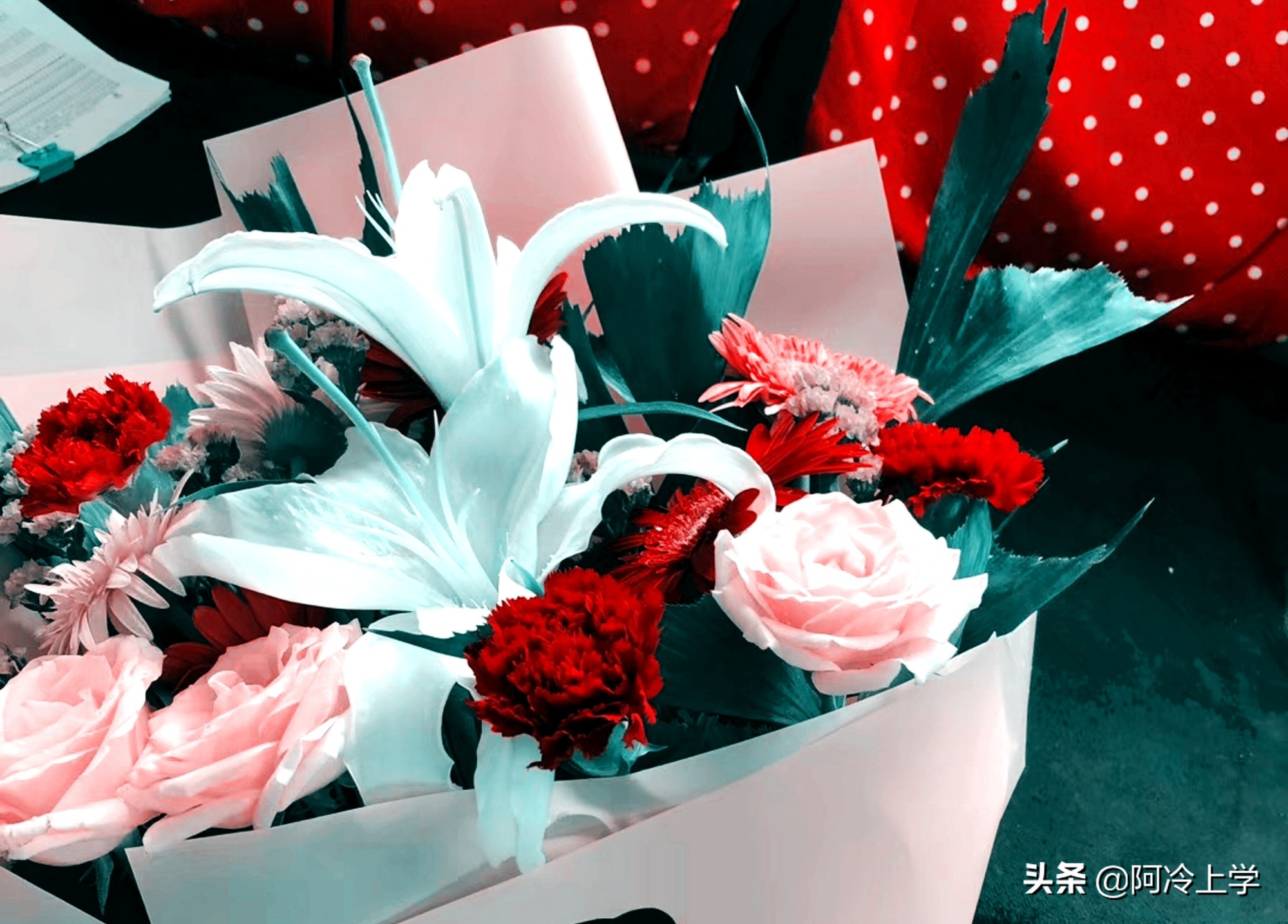 小学语文病句类型归纳,小学语文的病句