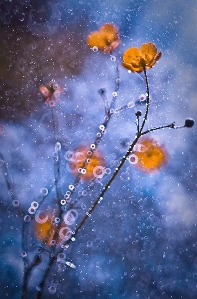 70-200f4能拍啥,70200套件安装视频