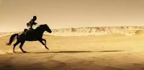 被禁4年,被禁四年