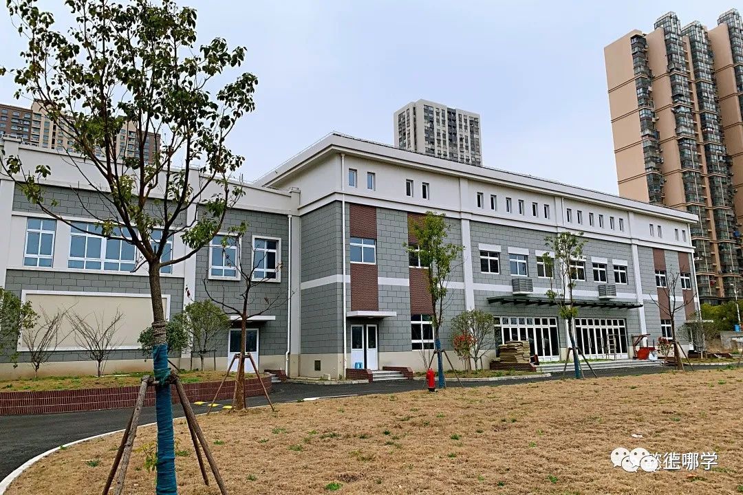 上师大附属浦东临港中学,上师大附中浦东校区怎么样