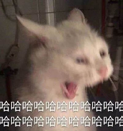 植发的来源从何而来,植发的发从哪里来的