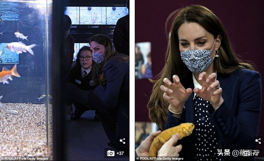 威廉凯特最新合体,凯特威廉哈里梅根秀恩爱