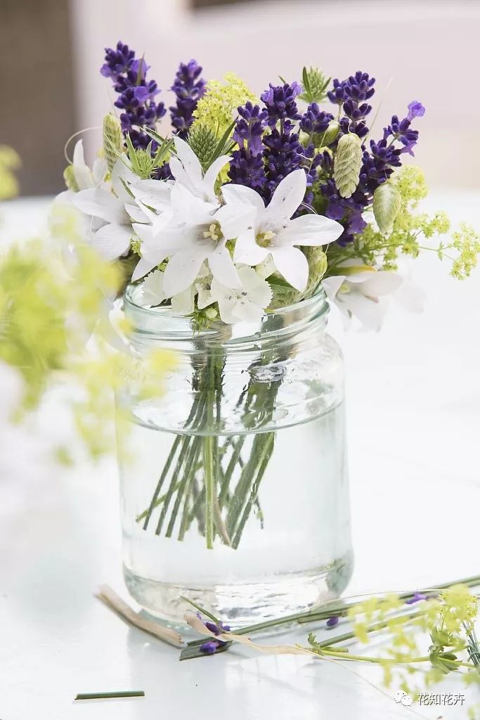 薰衣草真假精油的鉴别方法,熏衣草干花真假辨别