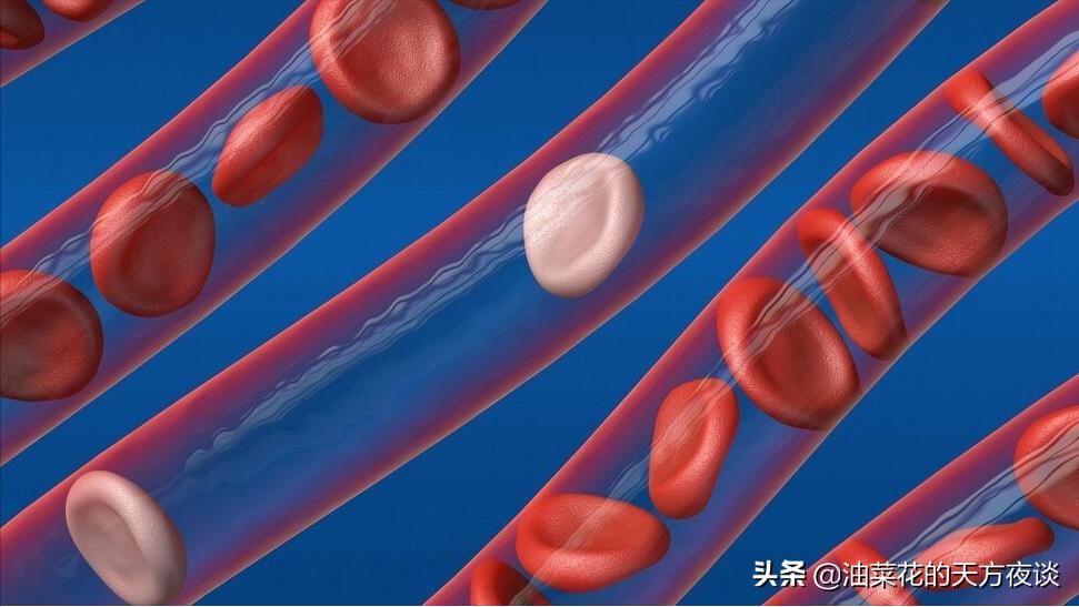 罗沙司他:肾性贫血新药
