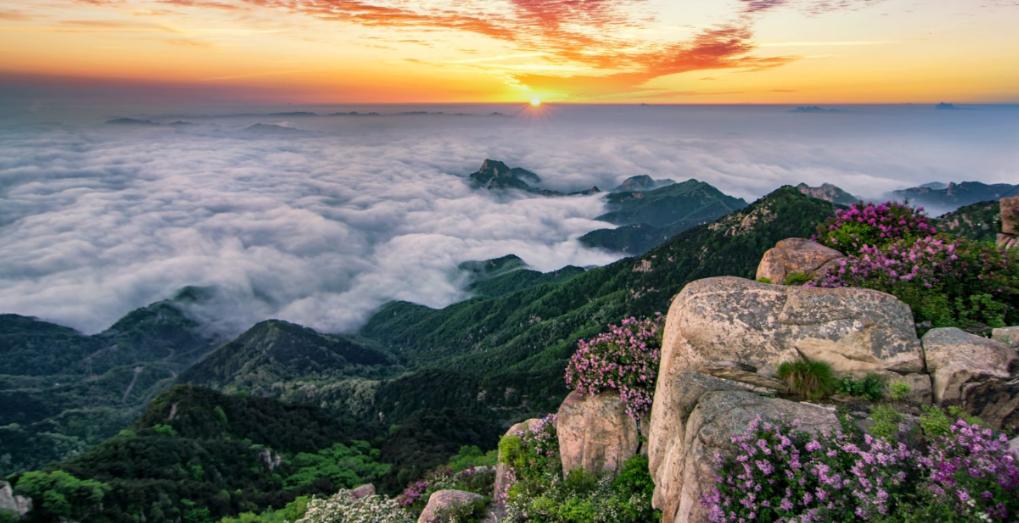 天下之道全文,天下之道免费观看