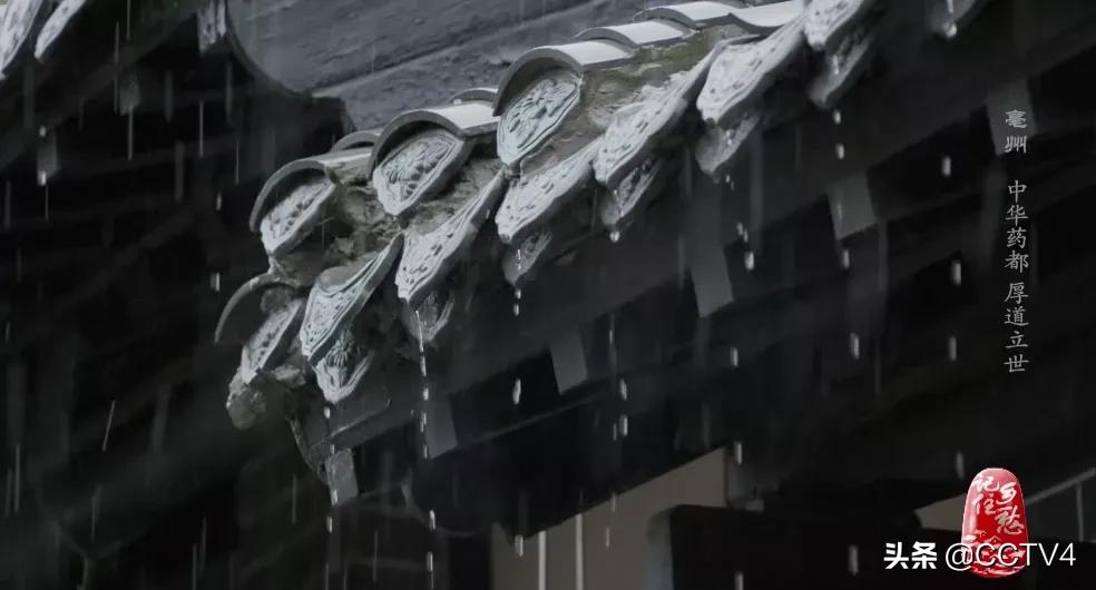 华佗故乡亳州药都之乡简介,亳州为什么被称为华佗故里