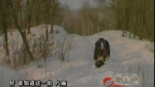 98版水浒传武松精彩瞬间,98版水浒传中武松打虎的视频