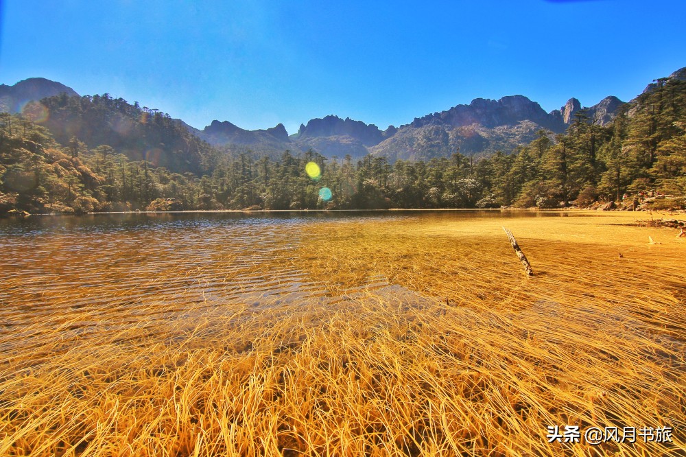 西昌山火肆虐过后救火者,西昌木里救火英雄