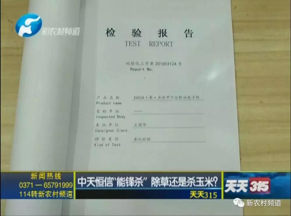 玉米除草剂药害玉米减产吗,玉米受药害减产吗