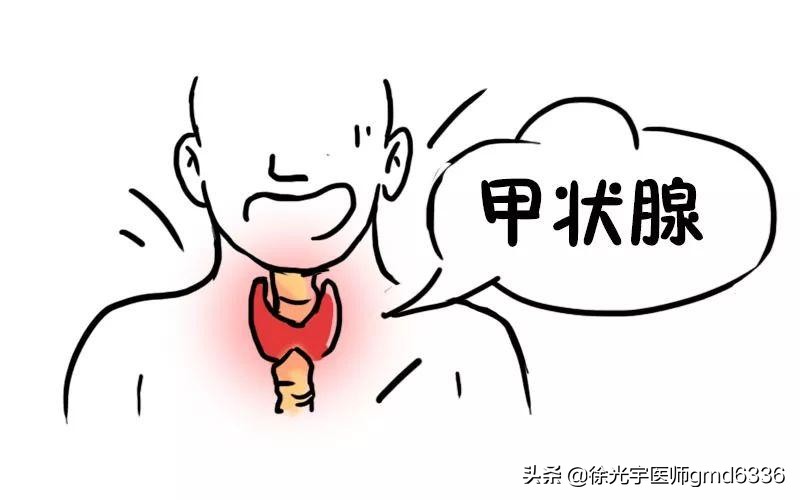 什么原因才会引起甲状腺的问题,有哪些问题会引起甲状腺问题