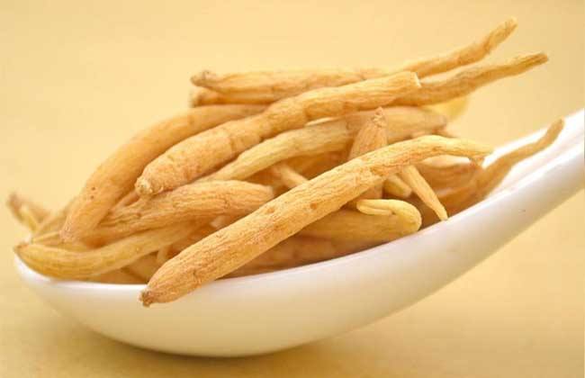 中药太子参，补气药中清补之品,益气不升提，生津不助湿.