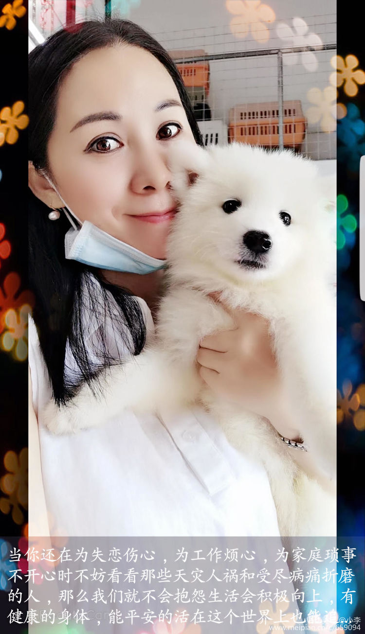 珠海宠物免费治疗,珠海哪里有宠物美容学校