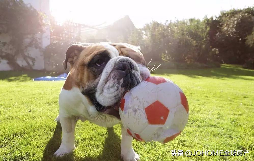 意大利最好的国家,世界最懂生活的人