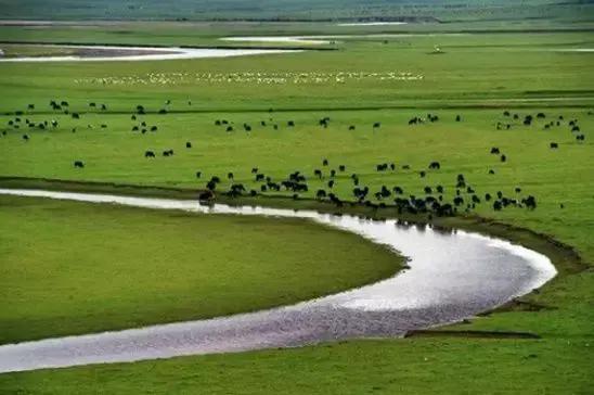 长征过松潘草地地图,长征松潘草地简介