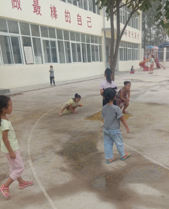 唐河县毕店镇常赵庄小学,多方联动创平安校园