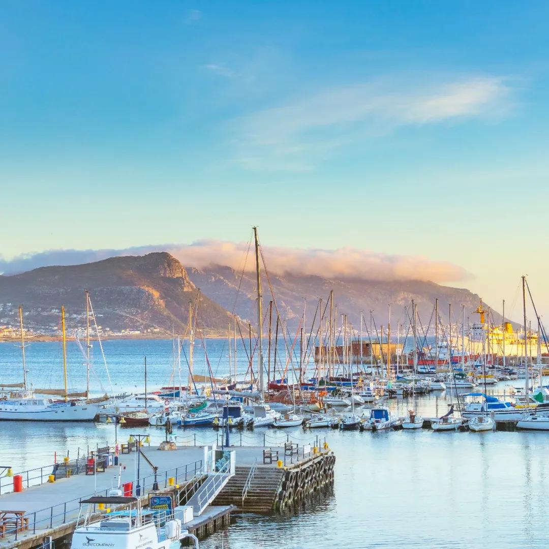 苏伊士运河损失,苏伊士运河的重大事件