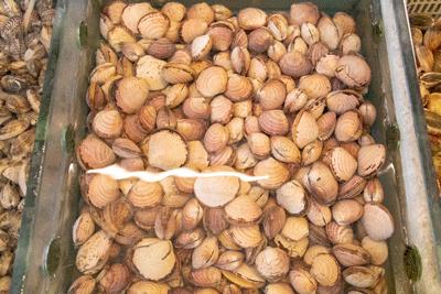 实拍一家更适合北方人的打边炉,各式各样的打边炉