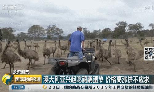 能致富的中药材品种,发家致富的神奇植物