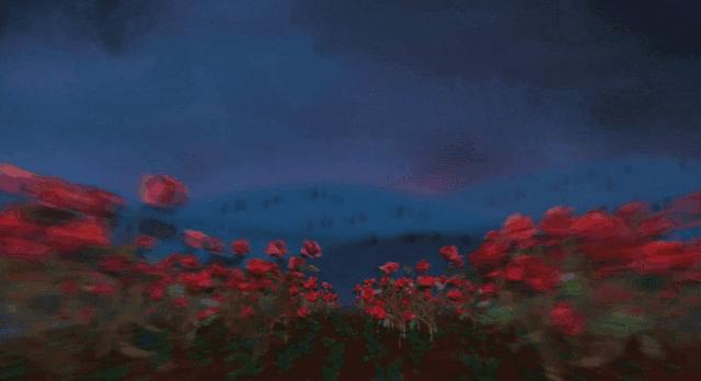 五一不能错过的花海,五一不能错过的美丽花海