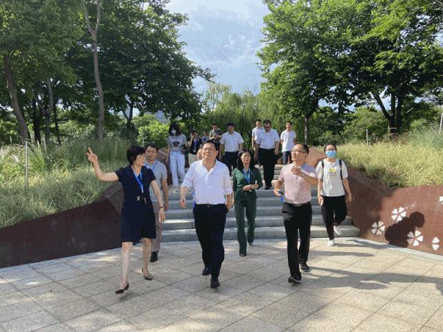 桂城全民健身公园,佛山体育公园最新规划