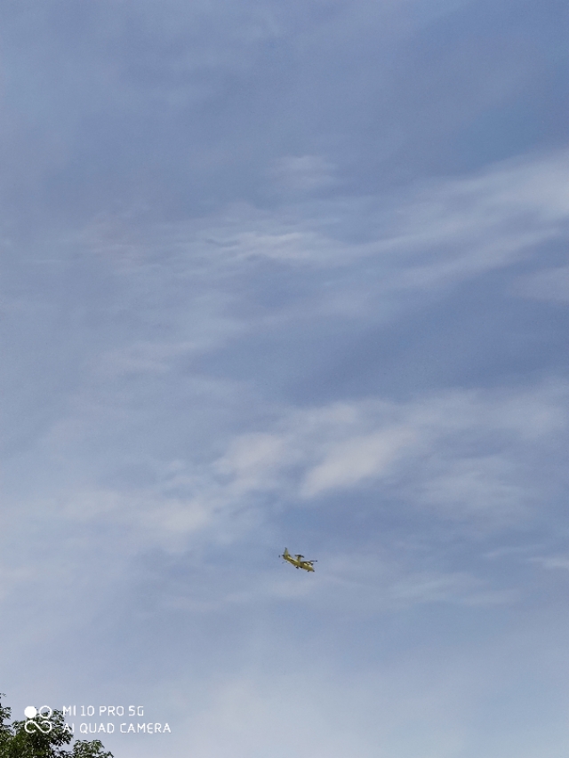 被绿了怎么办复合,被绿了怎么办小学生