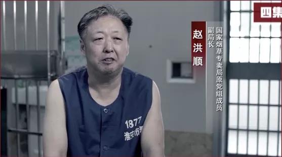 老虎后续采访视频,老虎随后一幕曝光让人揪心