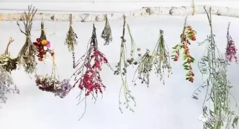 鲜花制作干花方法教程,鲜花制作干花的方法