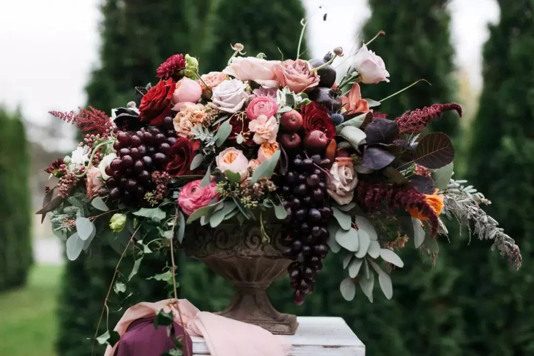 花艺自学从哪里开始,零基础学习插花花艺