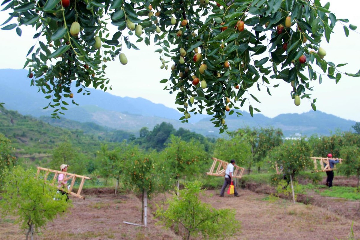 蒲公英4g路由器r300a怎么样,蒲公英r300a路由器如何增强4g信号